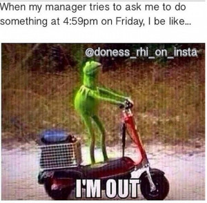 12 Hilarious Kermit the Frog Memes