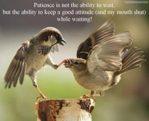 Patience Is Not The Ability To Wait