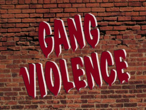 my glogogogog about gang violence