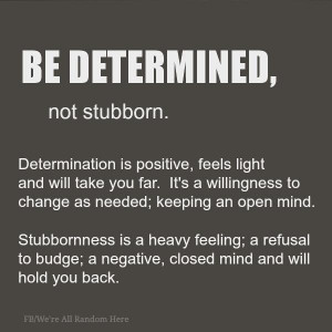 STAAK QUOTES: Determined/Stubborn