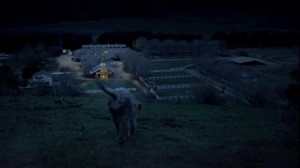Budweiser Super Bowl 2015 Commercial, 'Lost Dog' Song by Sleeping at ...