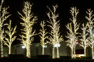 White Christmas Lights For Sale Vtxxkge