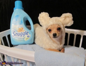 Snuggle Bear - Homemade costumes for pets