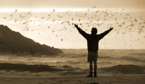 INTO THE WILD (Voyage au bout de la solitude)