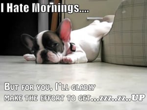 cute puppy quotes 28 Exciting Funny Pictures With Sayings CreativeFan