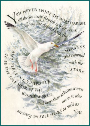 newcards Animals Author: Thomas Traherne Birds Illustrator: Marie ...