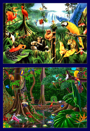 Tropical Rainforest Animals And Plants