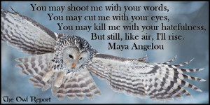 Indomitable spirit - I'll rise (Maya Angelou).