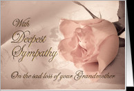 With deepest sympathy, loss of grandmother. A pale pink rose on a ...