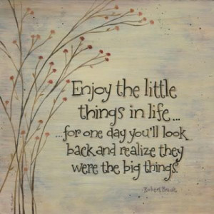 cute picture quote about appreciating the little things in life