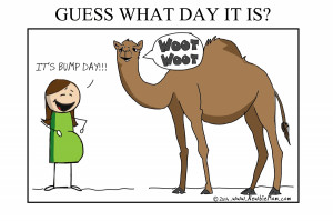 Related Pictures camel hump day funny geico commercial wednesday ...