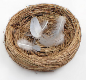 Four ways to turn empty nest syndrome into overflowing wallet syndrome