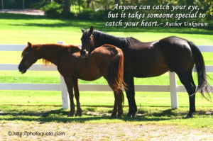 Anyone can catch your eye, but it takes someone special to catch your ...
