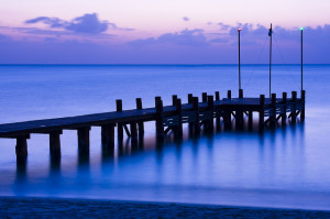 Progressive Car Insurance Quotes Online Auto