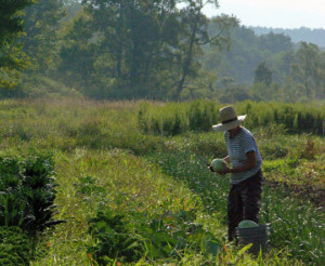 ... change leads to violence , and that it’s going to get worse as the