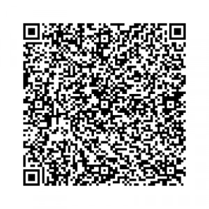 QR code: FIRST AMENDMENT OF THE UNITED STATES CONSTITUTION