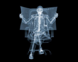 Beautiful X-Ray Photography (30 pics)