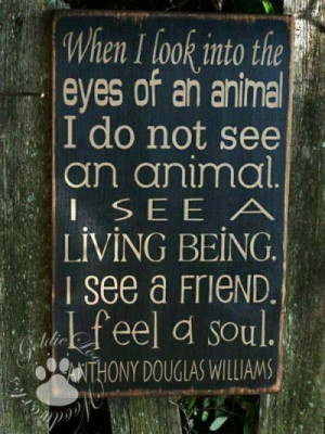 Anthony Douglas Williams - Animals