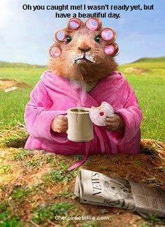 Oh, You Caught Me! I Wasn't Ready Yet, but Have A Beautiful Day. Good ...