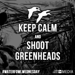 DuckHunting #Hunting #Waterfowl #Greenhead #Ducks #WaterfowlWednesday