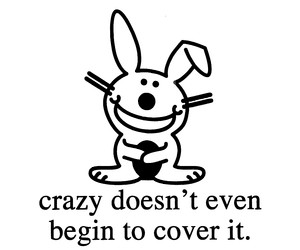 Crazy funny bunny image quote