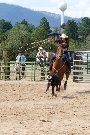 Stacy Trehern starts off the Girls Breakaway Roping event. Photo by ...