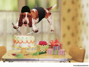 Dog Happy Birthday Funny Image