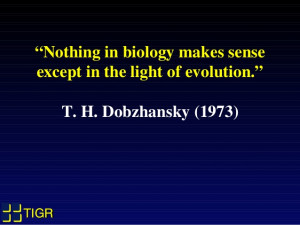 Talk on Microbial Phylogenomics at the Society for General ...