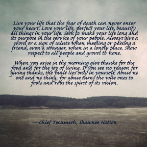 Chief Tecumseh Quotes http://pinterest.com/pin/104216178850171099/