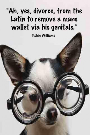 funny cartoons about divorce