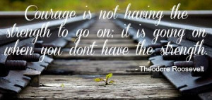 On courage, Theodore Roosevelt