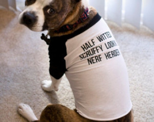 Star Wars Dog Raglan Shirt - Half Witted, Scruffy Looking, Nerf Herder ...