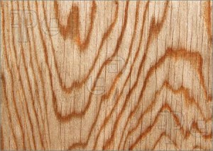 Picture of Wood lines natural pattern close up.