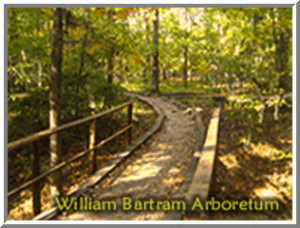 ... bartram arboretum next share william bartram arboretum wetumpka