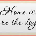 Home » Service Dogs – Inspirational