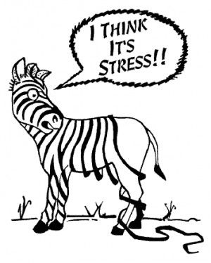 Humour - Work & Stress
