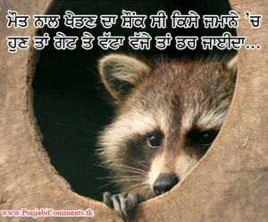Very Funny Animal Punjabi Photos Comments Quotes Wallpaper Free For