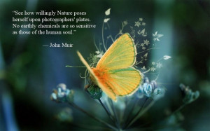 John Muir quotes on nature