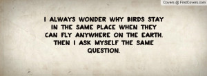 ... anywhere on the earth. then i ask myself the same question. , Pictures