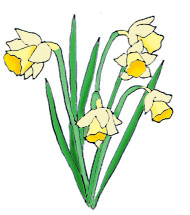 Beautiful Spring Clipart