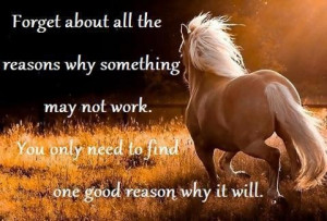 Quote of the Day: Forget about all the reasons why something may not ...