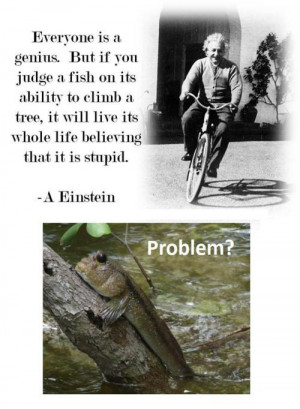 ... /uploads/2012/02/funny-albert-einstein-quote-fish-climbing-tree.jpg