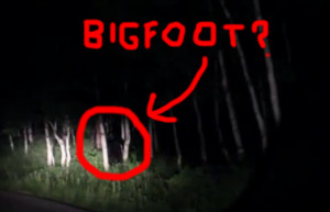 Bigfoot Sightings 2014
