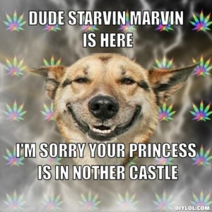 _stoner-dog-meme-generator-dude-starvin-marvin-is-here-i-m-sorry ...