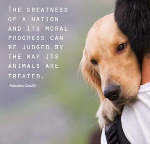 ... Progress Can be Judged by the Way its Animals are Treated. Gandhi