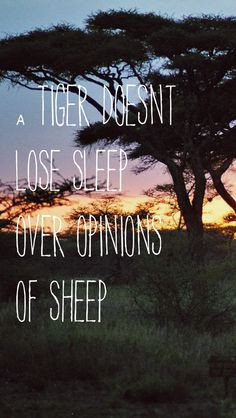Wallpapers Quotes, Tigersheep Phones, Iphone 5 Wallpapers Quotes ...