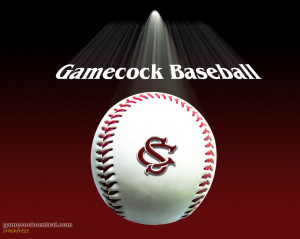 Gamecock Baseball Picture