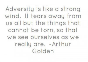 ... be torn, so that we see ourselves as we really are. ~Arthur Golden