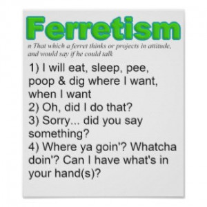 ferretisms or quotes poster by visages browse ferret quotes posters