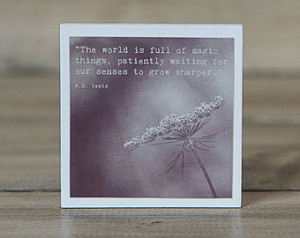 Art Magnet | W.B. Yeats Quote | The World is Full of Magic ...
